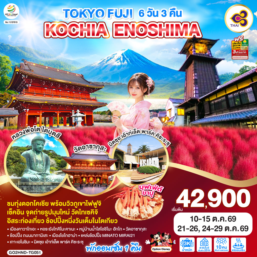 TOKYO FUJI KOCHIA ENOSHIMA 6D 3N โดยสายการบินไทย [TG]