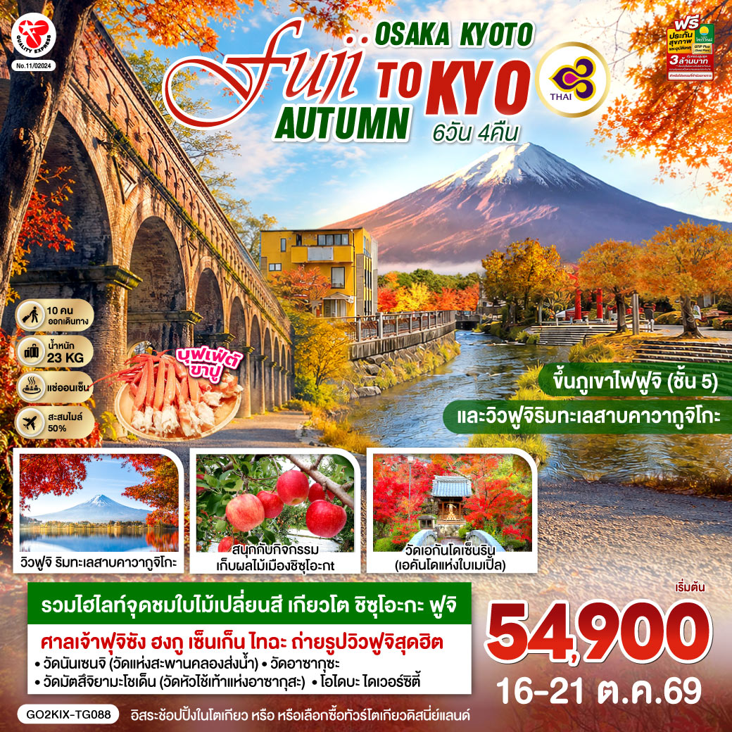 OSAKA KYOTO FUJI TOKYO  AUTUMN FRUIT PARK  6D 4N โดยสายการบินไทย [TG]