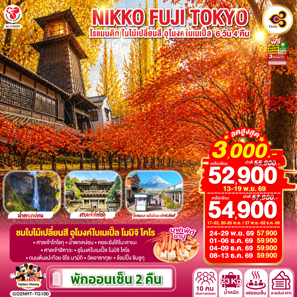 NIKKO FUJI TOKYO โรแมนติก ใบไม้เปลี่ยนสี อุโมงค์ใบเมเปิ้ล 6D 4N  โดยสายการบินไทย [TG] พักออนเซ็นนิกโก้ 1 คืน