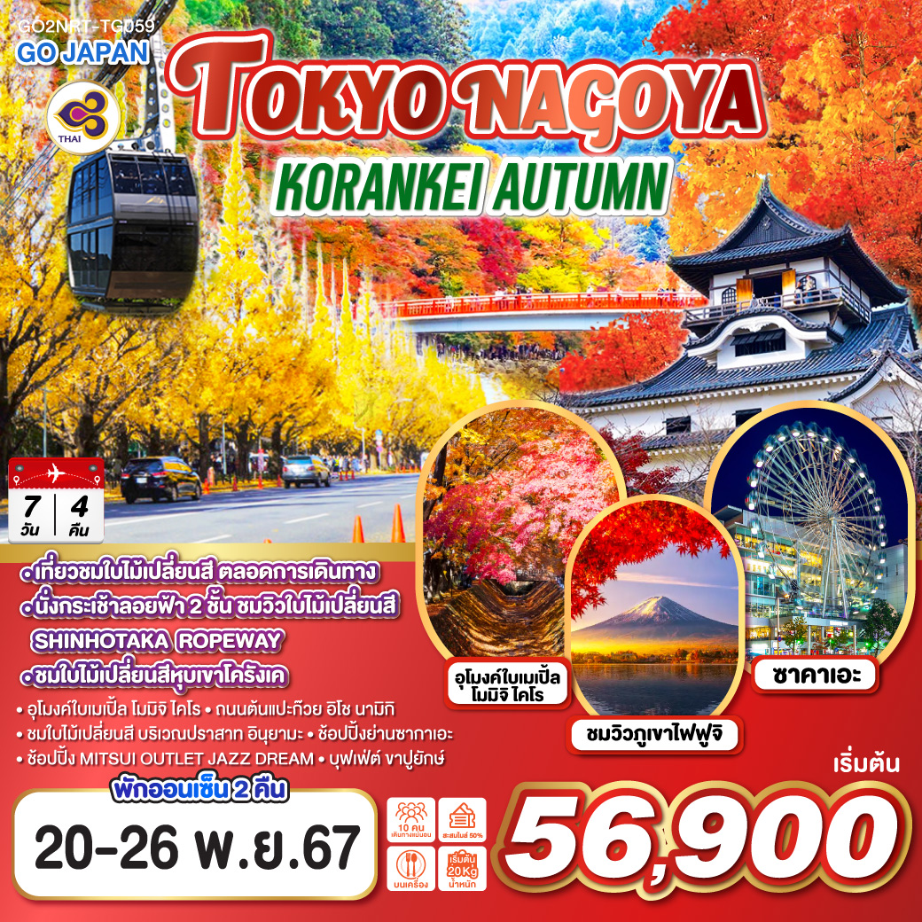 TOKYO NAGOYA KORANKEI AUTUMN 7D 4N โดยสายการบินไทย [TG]