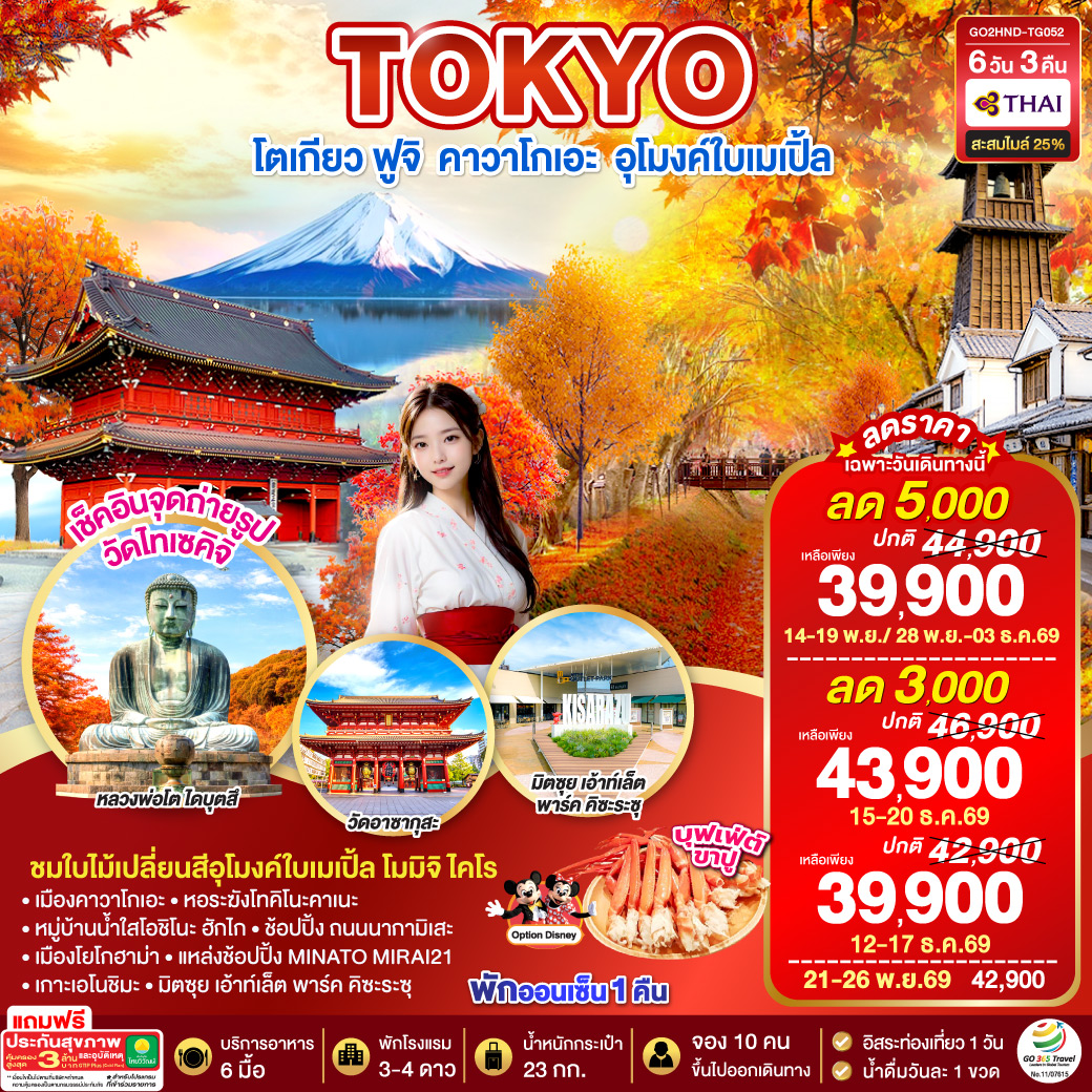 TOKYO ฟูจิ คาวาโกเอะ อุโมงค์ใบเมเปิ้ล 6D 3N โดยสายการบินไทย [TG]