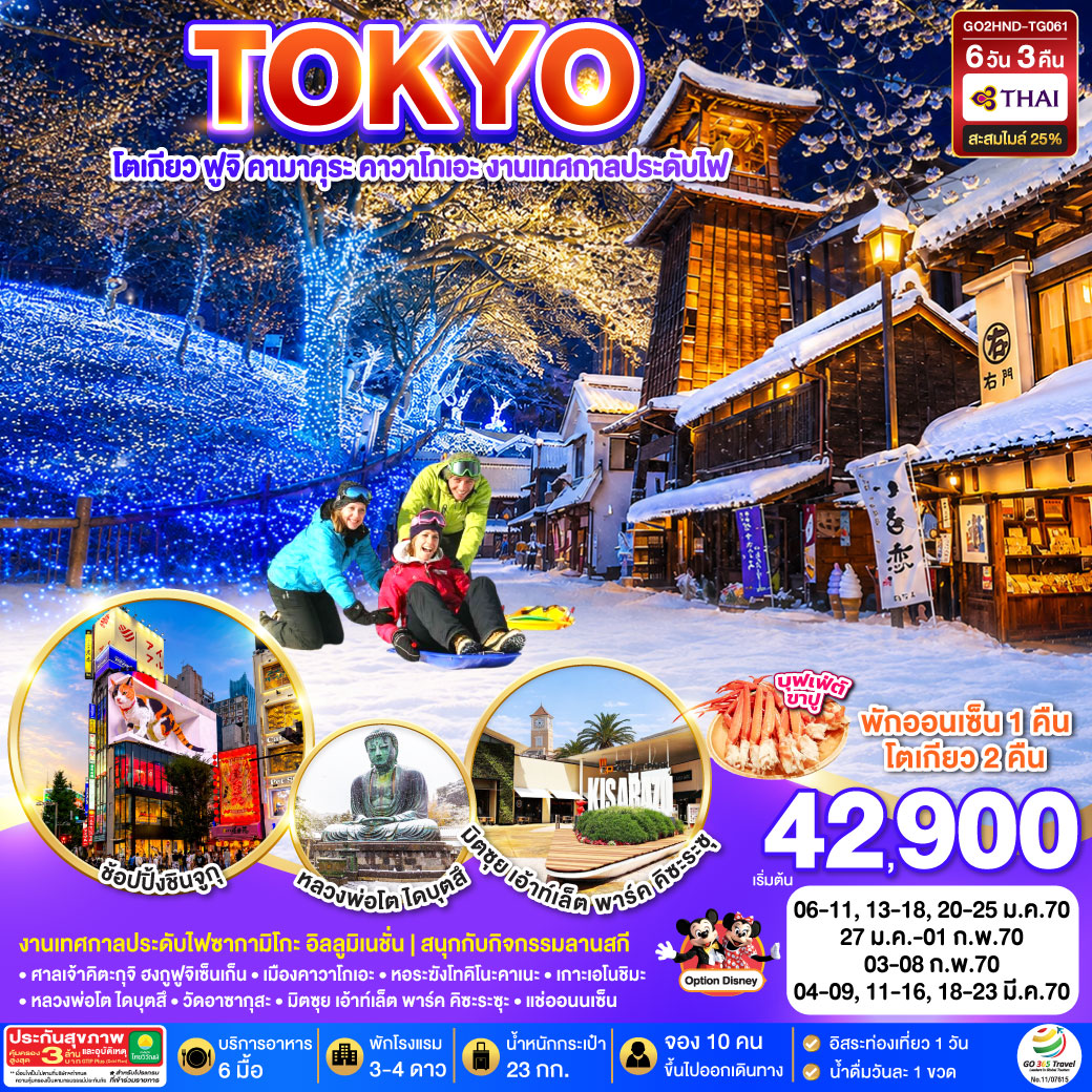 TOKYO โตเกียว ฟูจิ คามาคุระ คาวาโกเอะ งานเทศกาลประดับไฟ 6D 3N โดยสายการบินไทย [TG]