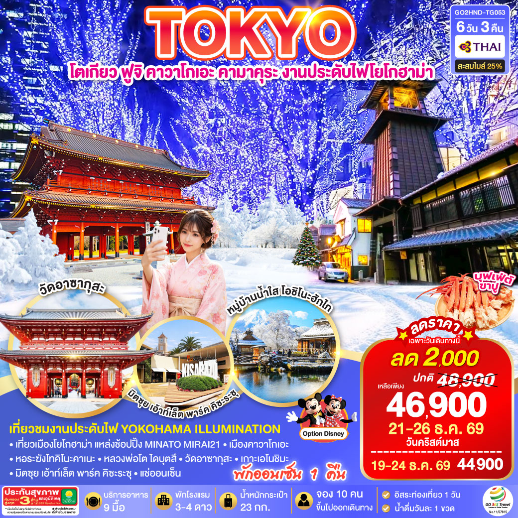 TOKYO โตเกียว ฟูจิ คาวาโกเอะ คามาคุระ งานประดับไฟโยโกฮาม่า  6D 3N โดยสายการบินไทย [TG]