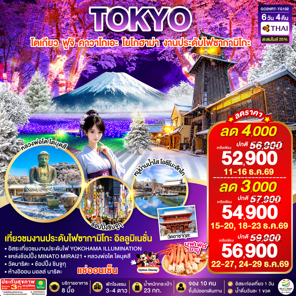 GO2NRT-TG102 TOKYO FUJI YOKOHAMA ILLUMINATION WINTER  6D 4N โดยสายการบินไทย [TG]