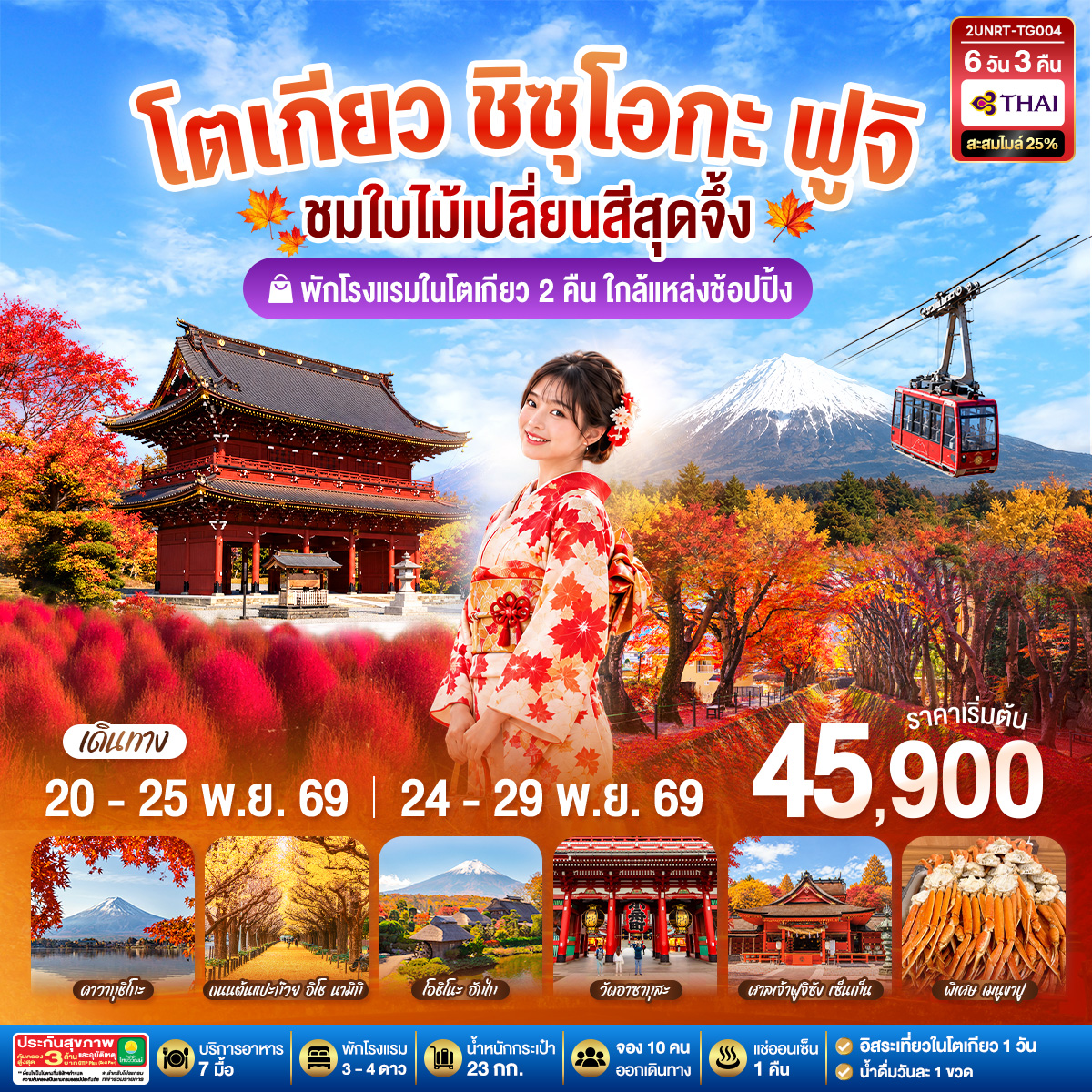 โตเกียว ชิซุโอกะ ฟูจิ นั่งกระเช้าคาจิคาจิ ชมใบไม้เปลี่ยนสีสุดจึ้ง 6วัน 3คืน โดยสายการบินไทย [TG]