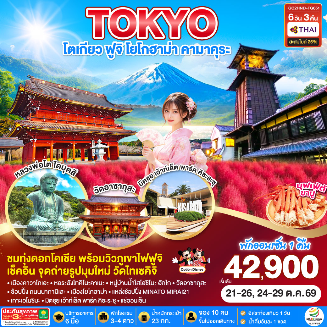TOKYO โตเกียว ฟูจิ โยโกฮาม่า คามาคุระ 6D 3N  โดยสายการบินไทย [TG]
