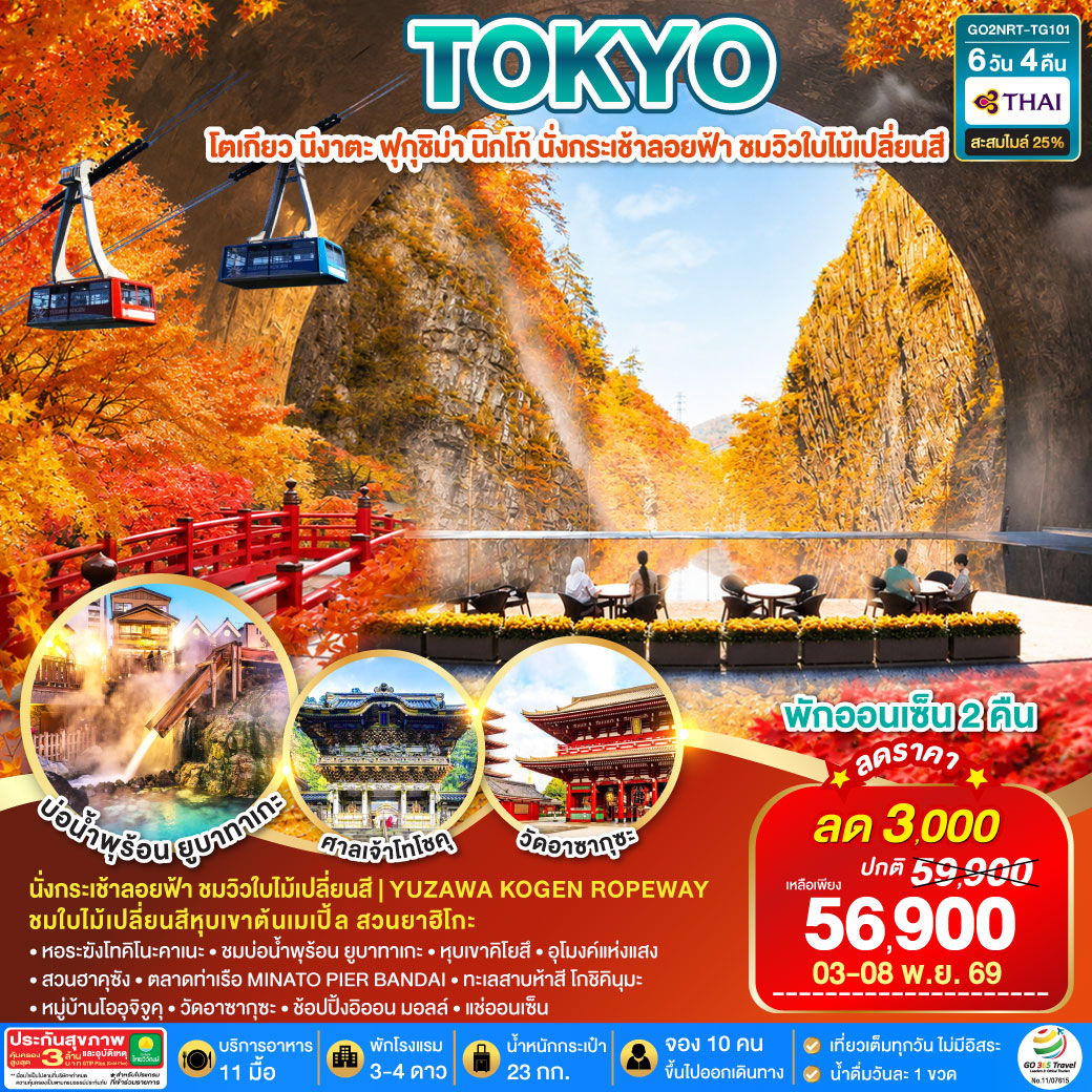 TOKYO นีงาตะ ฟุกุชิม่า นิกโก้ นั่งกระเช้าลอยฟ้า ชมวิวใบไม้เปลี่ยน  6D 4N โดยสายการบินไทย [TG]