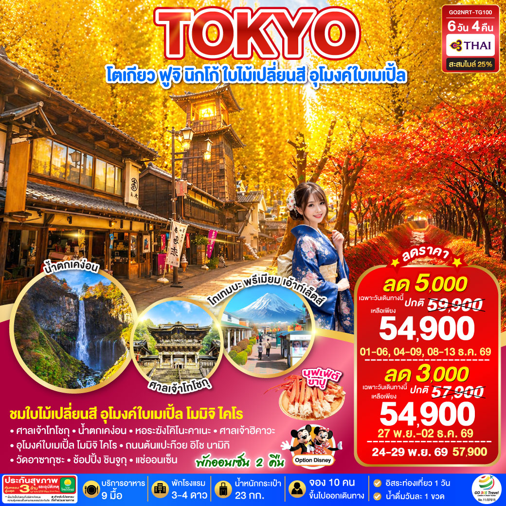TOKYO โตเกียว ฟูจิ นิกโก้ ใบไม้เปลี่ยนสี อุโมงค์ใบเมเปิ้ล  6D 4N  โดยสายการบินไทย [TG] พักออนเซ็นนิกโก้ 1 คืน