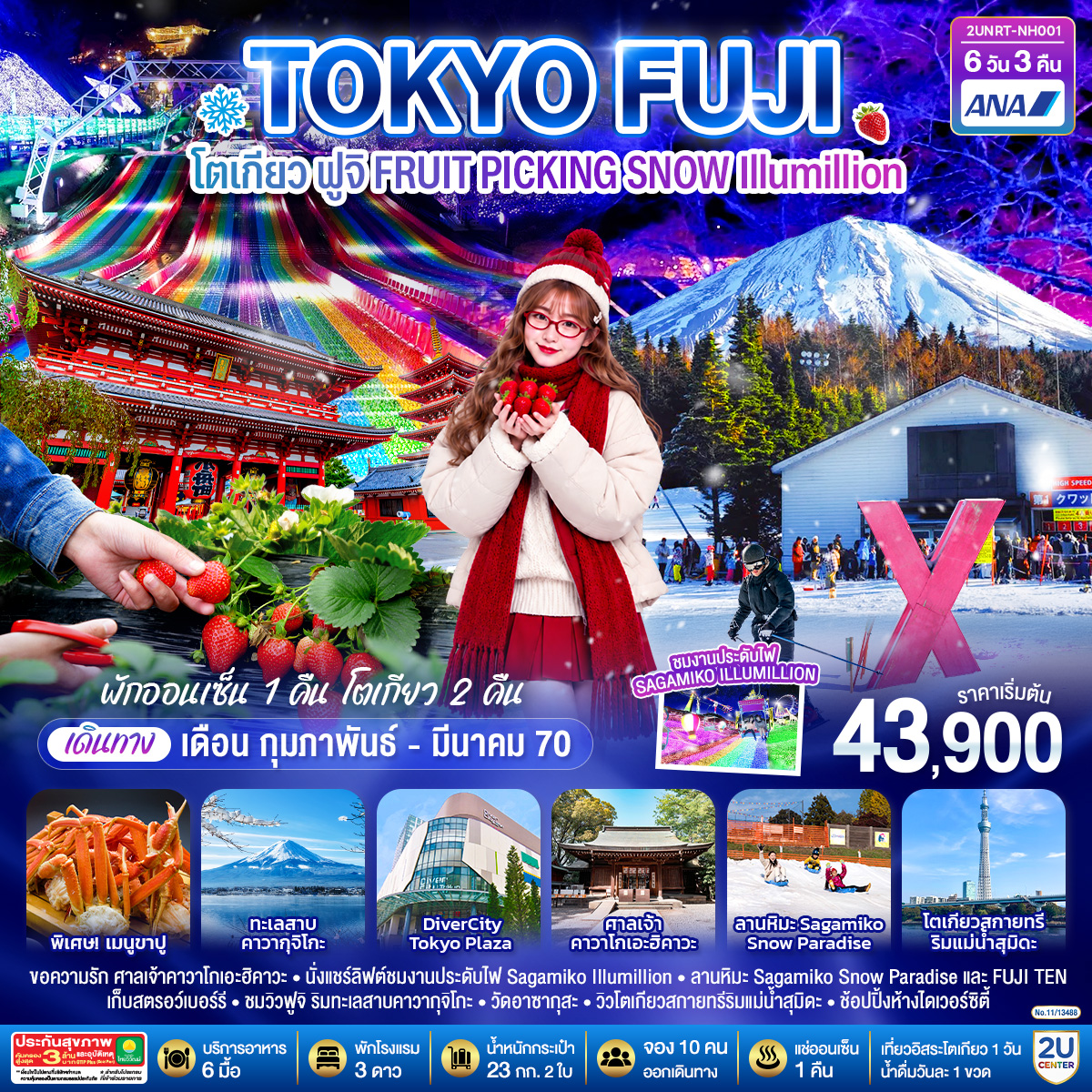 TOKYO FUJI โตเกียว ฟูจิ FRUIT PICKING SNOW Illumillion 6 วัน 3 คืน โดยสายการบินออล นิปปอน แอร์เวย์