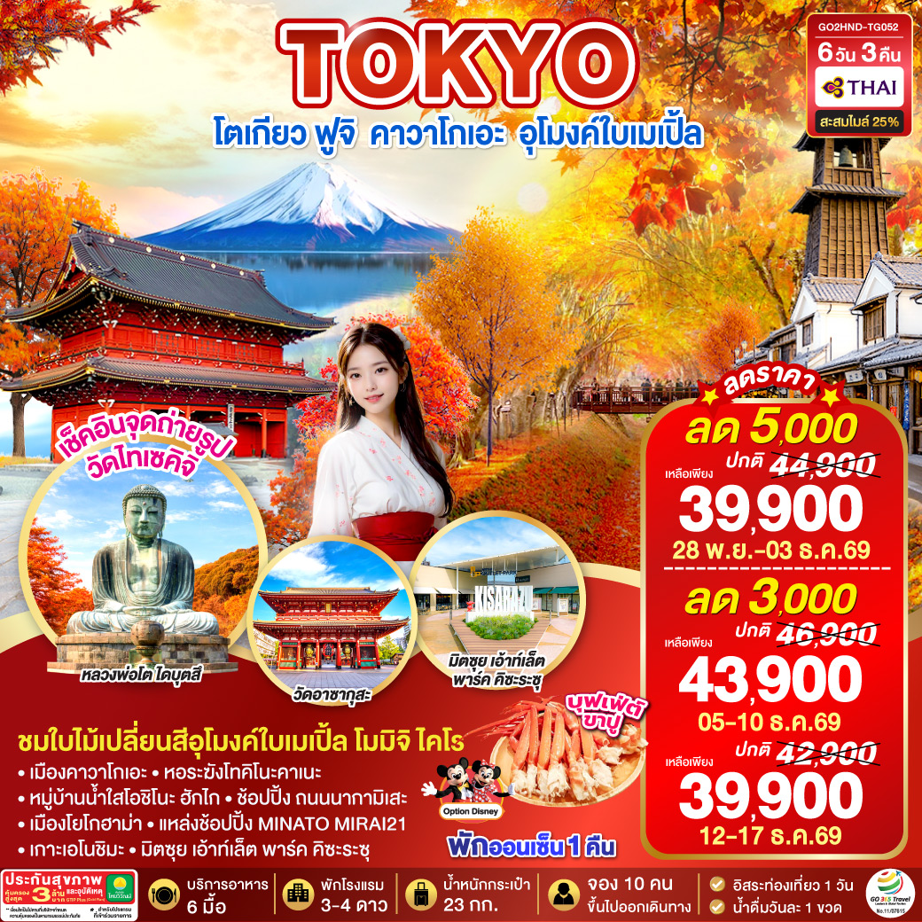 TOKYO ฟูจิ คาวาโกเอะ อุโมงค์ใบเมเปิ้ล  6D 3N  โดยสายการบินไทย [TG]
