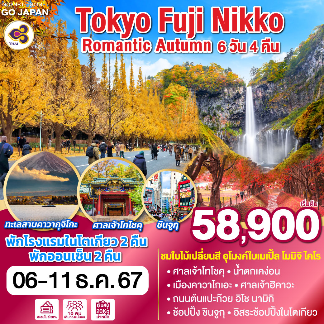 TOKYO FUJI NIKKO ROMANTIC AUTUMN 6D 4N โดยสายการบินไทย [TG]