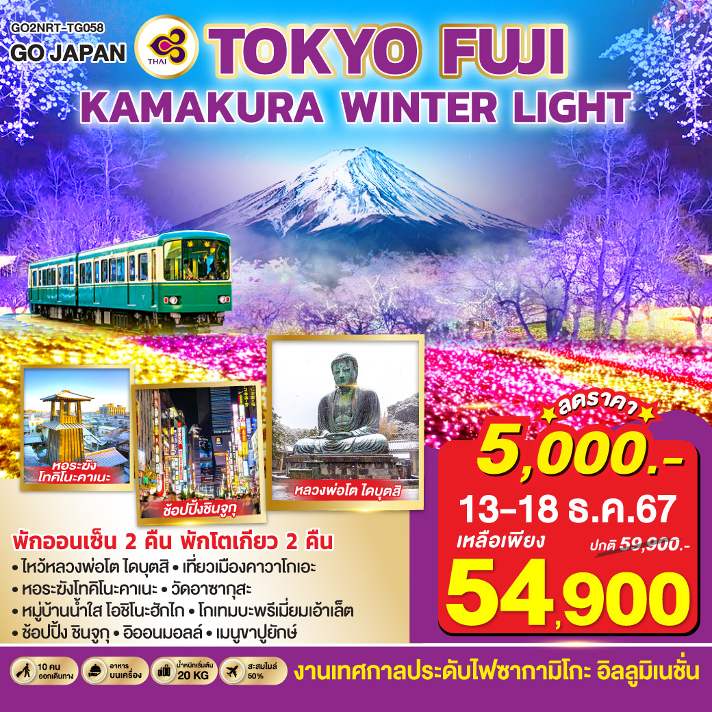 TOKYO FUJI KAMAKURA WINTER LIGHT UP 6D 4N โดยสายการบินไทย [TG]