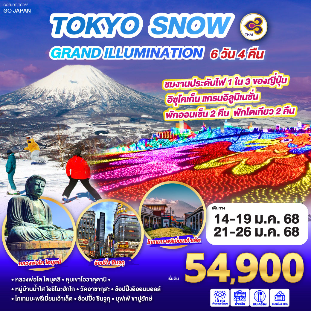 TOKYO SNOW GRAND ILLUMINATION 6D 4N โดยสายการบินไทย [TG]