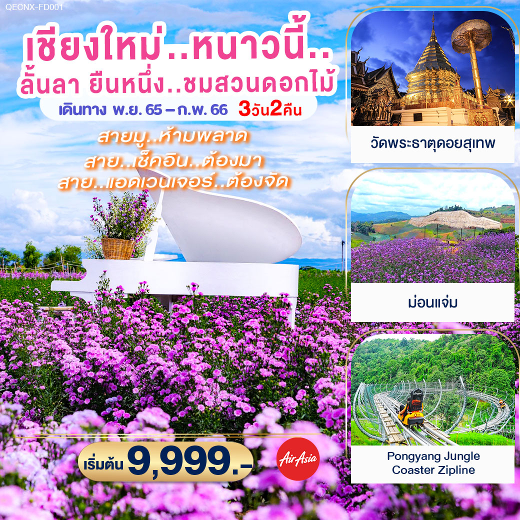 โปรแกรมเชียงใหม่ หนาวนี้..ลั้นลา..ยืนหนึ่ง..ชมสวนดอกไม้ 3 วัน 2 คืน โดยสายการบิน Thai AirAsia (FD)