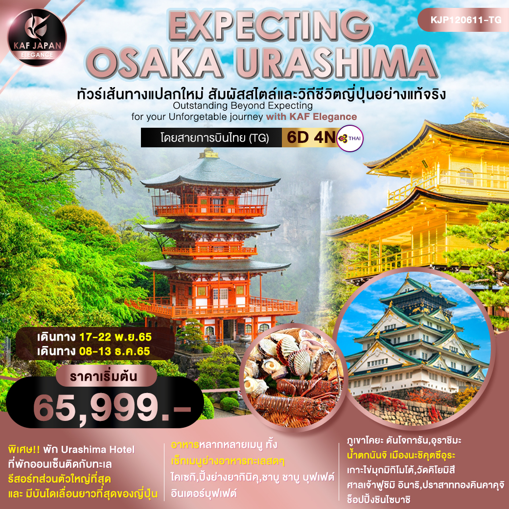 Expecting Osaka Urashima 6 วัน 4 คืน โดยสายการบินไทย (TG)