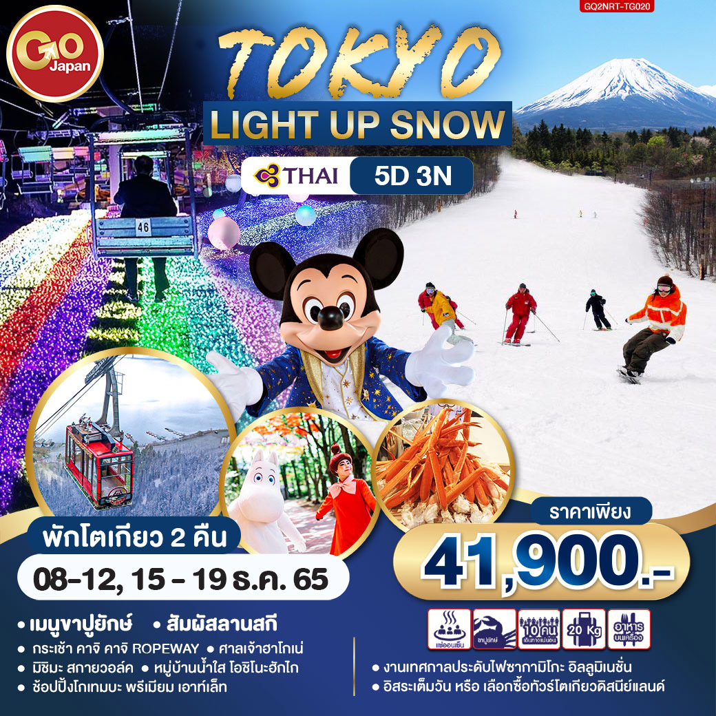 TOKYO LIGHT UP SNOW 5D3N โดยสายการบิน Thai Airways (TG)