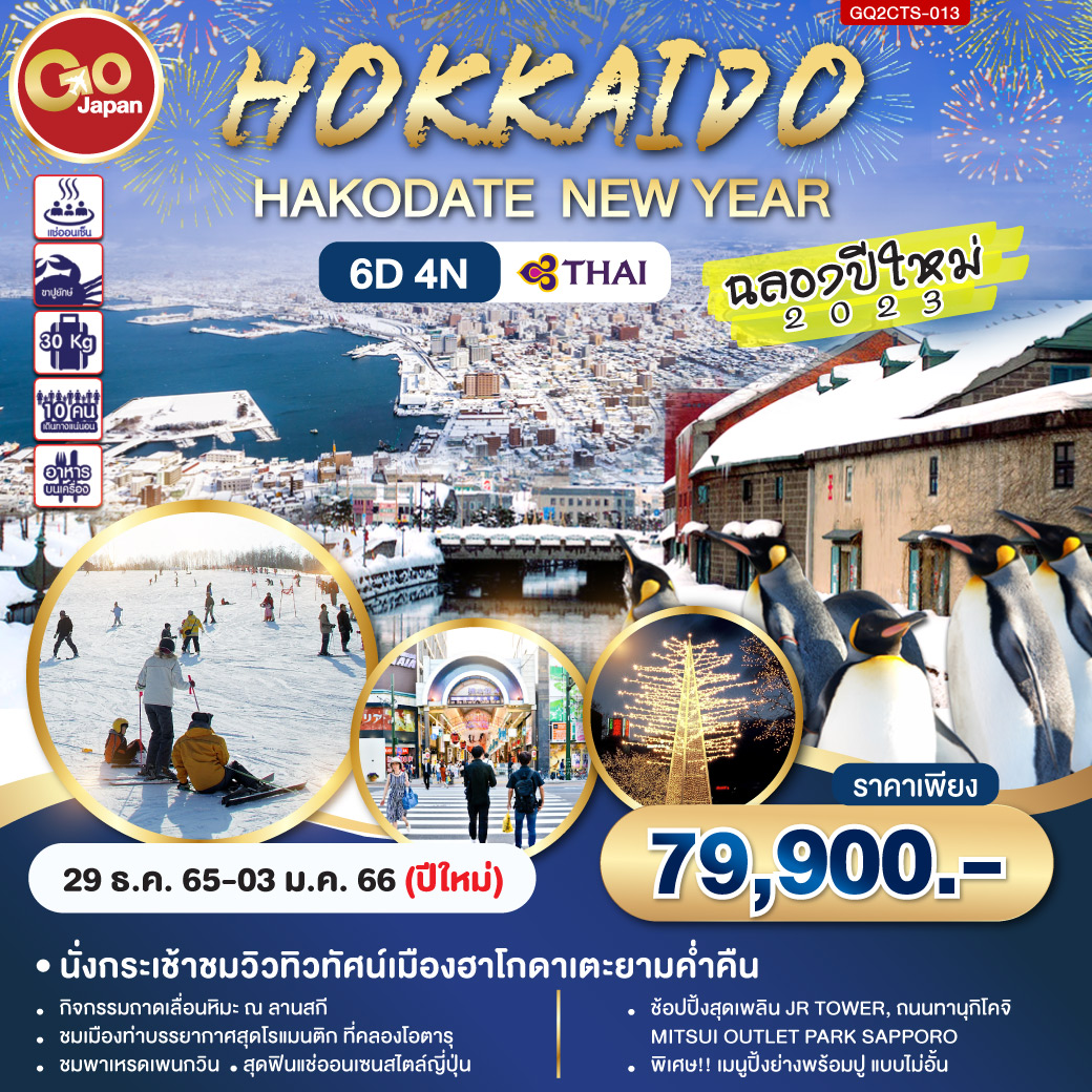 HOKKAIDO HAKODATE  SKI WINTER NEW YEAR 6D4N โดยสายการบิน Thai Airways (TG)