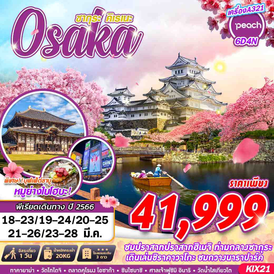 OSAKA ซากุระ คิเรเนะ (MAR) 6D4N โดยสายการบิน Peach air (MM)