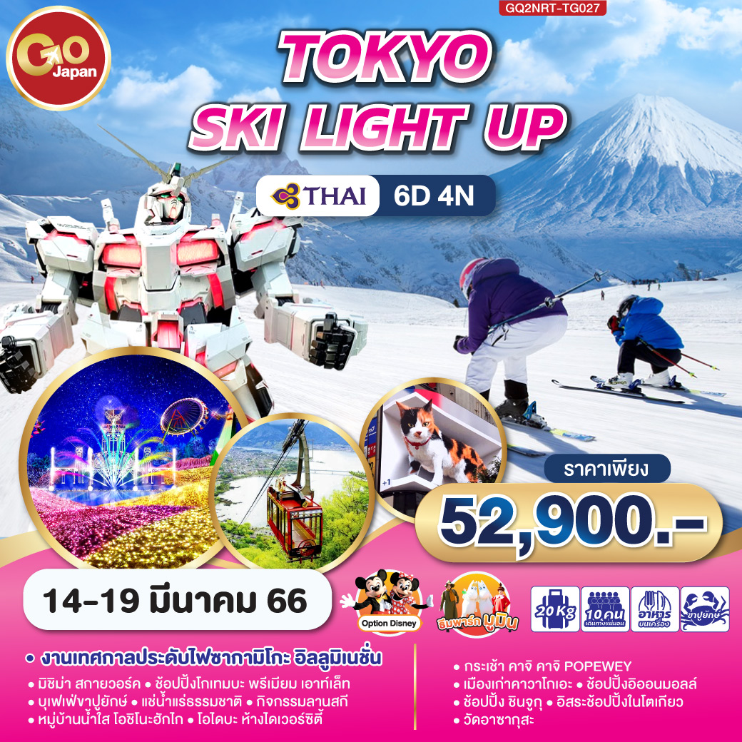 TOKYO SKI LIGHT UP 6D 4N โดยสายการบินไทย [TG]