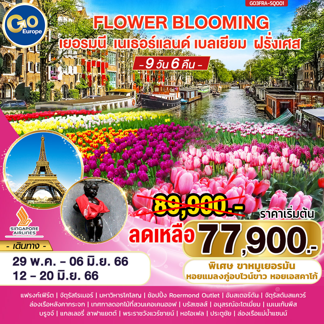 FLOWER BLOOMING เยอรมนี – เนเธอแลนด์ – เบลเยี่ยม – ฝรั่งเศส 9 วัน 6 คืน