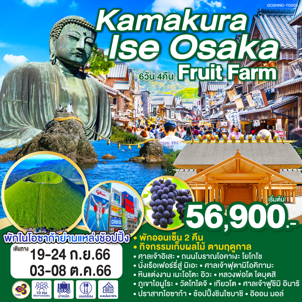 KAMAKURA ISE OSAKA FRUIT FARM 6D 4N โดยสายการบินไทย [TG]
