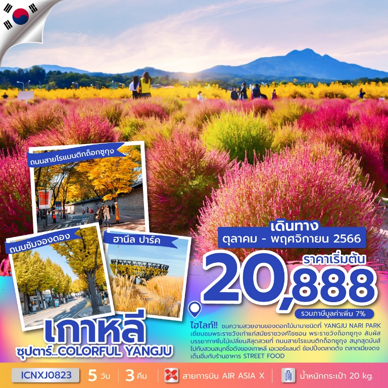 ซุปตาร์...COLORFUL YANGJU เกาหลี 5 วัน 3 คืน  โดยสายการบิน AIR ASIA X  (XJ)