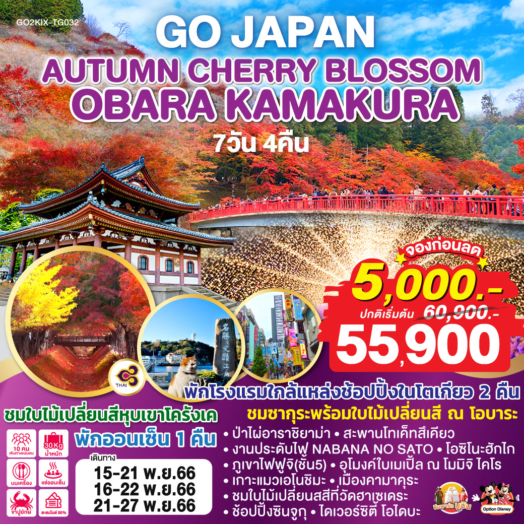 AUTUMN CHERRY BLOSSOM OBARA KAMAKURA 7D 4N โดยสายการบินไทย [TG]