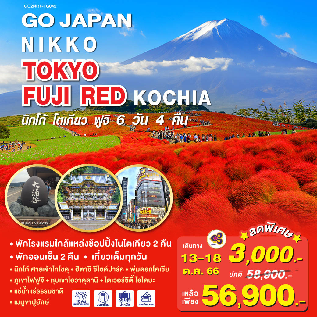 NIKKO TOKYO FUJI RED KOCHIA 6D 4N  โดยสายการบินไทย [TG]