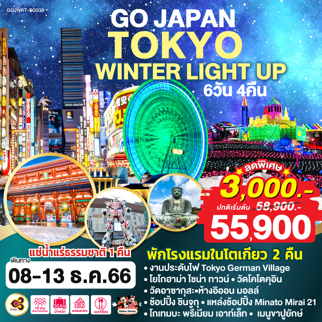 TOKYO WINTER LIGHT UP 6D 4N  โดยสายการบินไทย [TG]