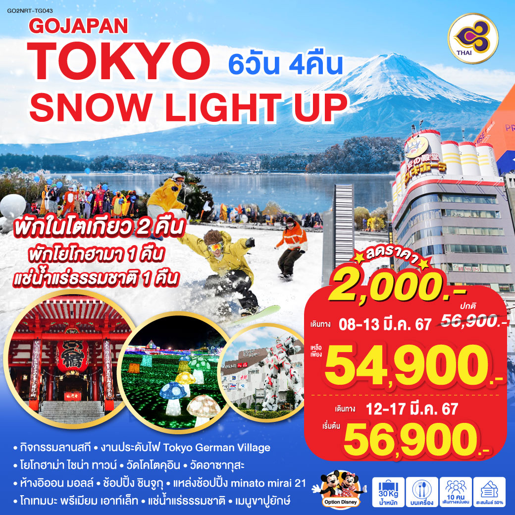 TOKYO SNOW LIGHT UP  6D 4N โดยสายการบินไทย [TG]