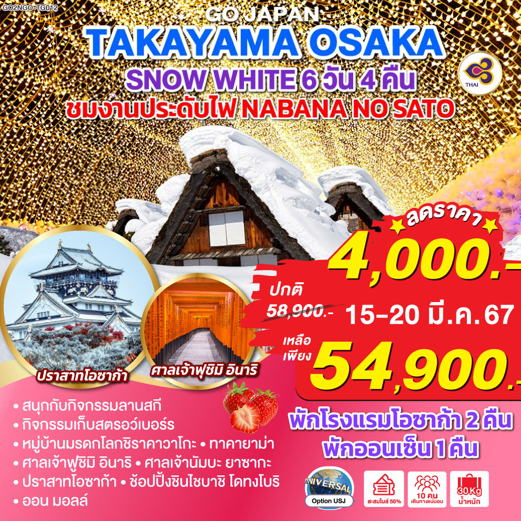 NAGOYA TAKAYAMA OSAKA SNOW WHITE  6D 4N โดยสายการบินไทย [TG]